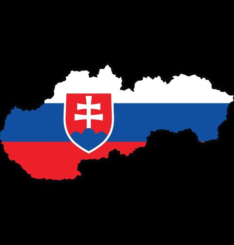 Obrázek produktu Dětské tričko Slovenská Mapa s Vlajkou