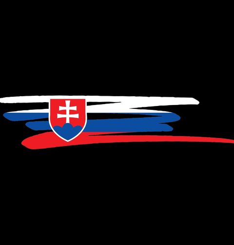 Obrázek produktu Pánské tričko Slovenská Hrdost