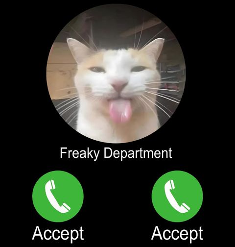 Obrázek produktu Dámské tričko Kočičí Oddělení volá Phone Call