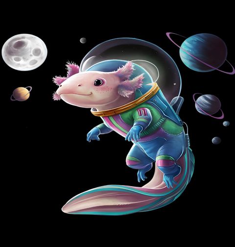 Obrázek produktu Dětské tričko Astronaut Axolotl ve Vesmíru