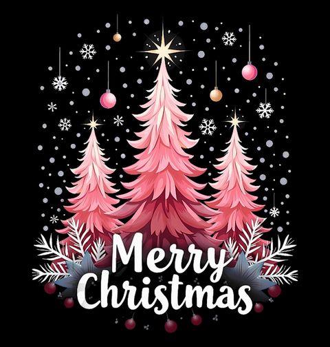Obrázek produktu Dámské tričko Růžové Vánoce Merry Christmas