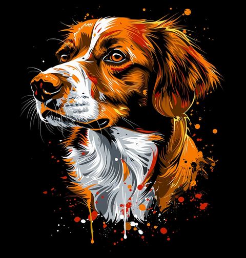 Obrázek produktu Dámské tričko Bretaňský ohař Brittany Dog