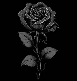 Obrázek 2 produktu Pánské tričko Černá Růže Smrti