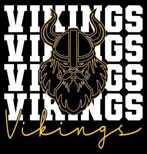 Obrázek produktu Dětské tričko Viking Tvář Bojovníka