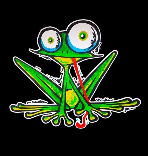 Obrázek produktu Dětské tričko Zvědavá žába