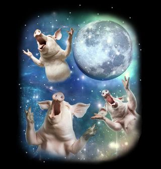 Obrázek 2 produktu Pánské tričko Prasata vyjící na Měsíc