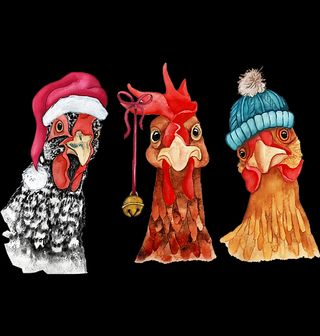 Obrázek 2 produktu Pánské tričko Zvědavé Vánoční Slepice