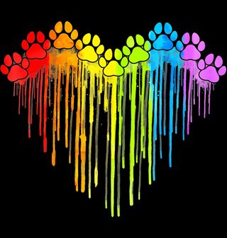 Obrázek 2 produktu Dětské tričko Srdce z Duhových Tlapek