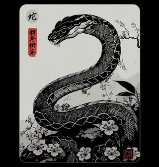 Obrázek 2 produktu Dámské tričko Čínský Rok Hada 2025