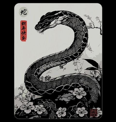 Obrázek produktu Dámské tričko Čínský Rok Hada 2025