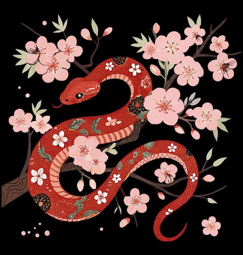 Obrázek produktu Dámské tričko Červený Had v Květech Sakury