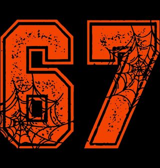 Obrázek 2 produktu Pánské tričko Halloweenský Meme 67 Six Seven Spider