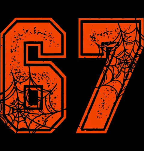 Obrázek produktu Pánské tričko Halloweenský Meme 67 Six Seven Spider