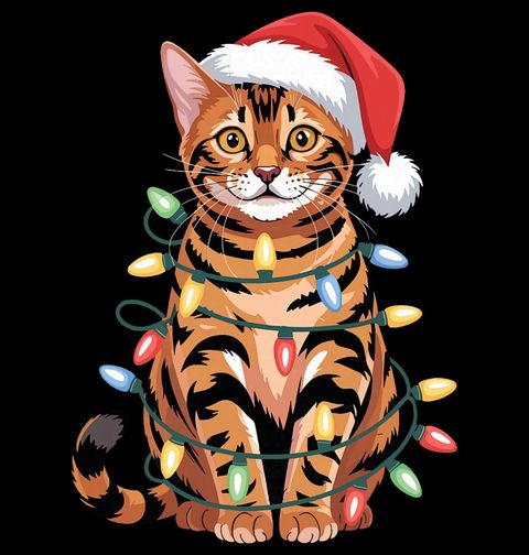 Obrázek produktu Dámské tričko Vánoční Bengálská Kočka