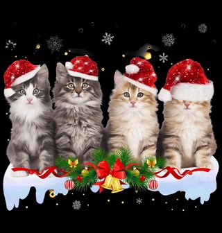 Obrázek 2 produktu Dětské tričko Vánoční Mainské Kočky