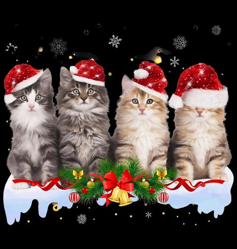 Obrázek produktu Dětské tričko Vánoční Mainské Kočky