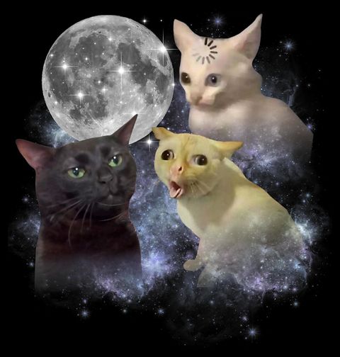 Obrázek produktu Dětské tričko Meme Kočky vyjící na Měsíc