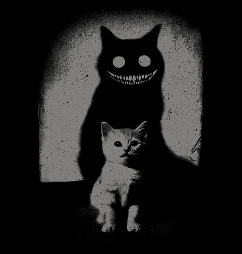 Obrázek produktu Dětské tričko Hororový Stín Démonické Kočky