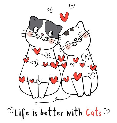 Obrázek produktu Dámské tričko Život je lepší s kočkami Life is better with cats