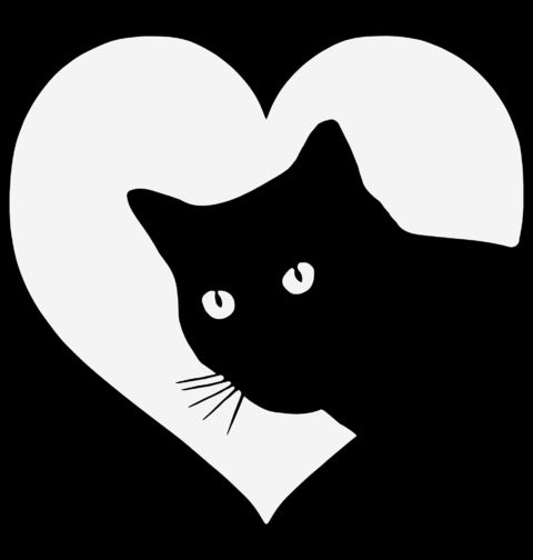 Obrázek produktu Dětské tričko Kočičí Stín v Srdci