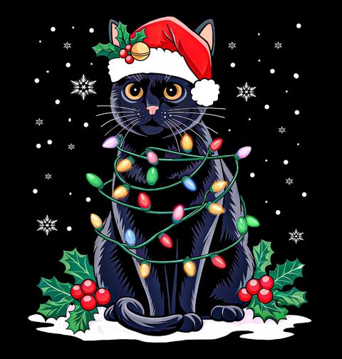 Obrázek produktu Dětské tričko Černá Kočka ve Sněhu