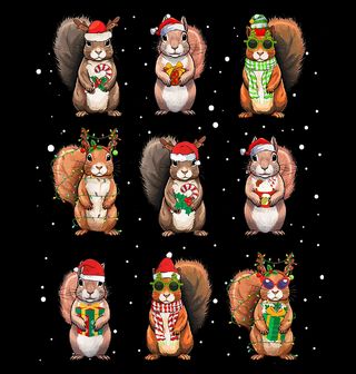 Obrázek 2 produktu Dámské tričko Vánoční Koláž z Veverek