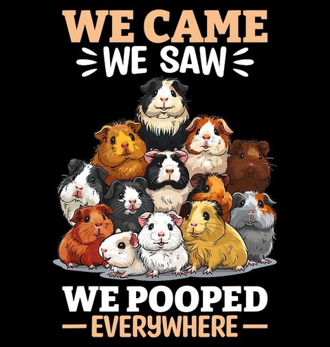 Obrázek produktu Pánské tričko Zlobivá Morčata domácí