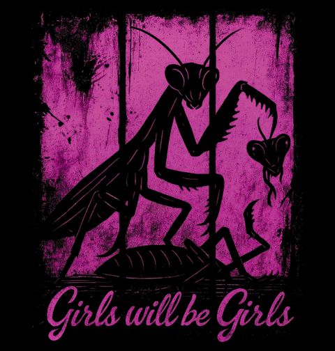 Obrázek produktu Dámské tričko Kudlanka nábožná Girls Will Be Girls