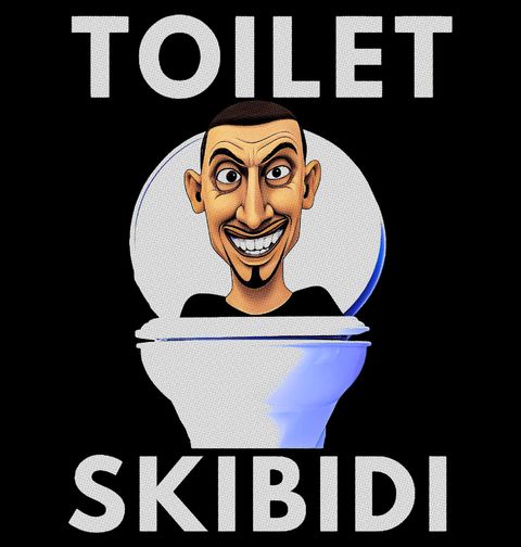 Obrázek produktu Dámské tričko Skibidi Toilet Meme