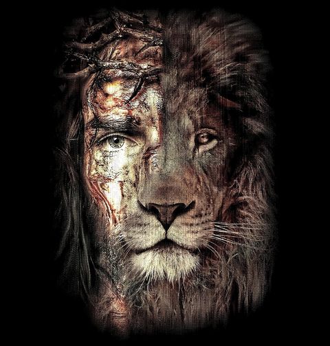 Obrázek produktu Pánské tričko Tvář Ježíše a Lva