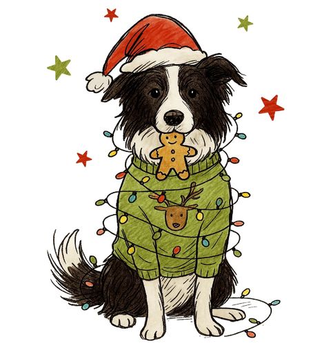 Obrázek produktu Dětské tričko Vánoční Border kolie