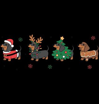 Obrázek 2 produktu Pánské tričko Vánoční Jezevčíci v Kostýmech