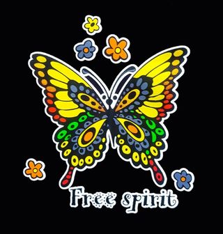 Obrázek 2 produktu Dětské tričko Motýlek Free Spirit 