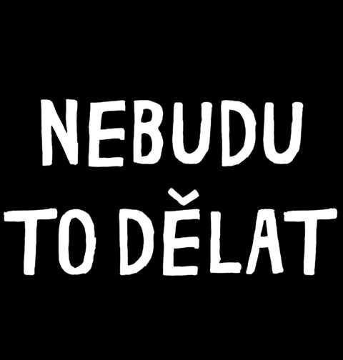 Obrázek produktu Dámské tričko Nebudu to dělat