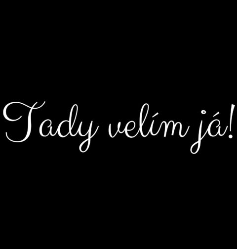 Obrázek produktu Pánské tričko Tady velím já!