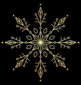 Obrázek 2 produktu Dětské tričko Zlatá Vánoční Vločka