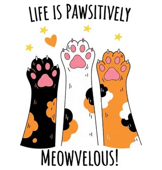Obrázek 2 produktu Pánské tričko Life is pawsitively meowvelous!