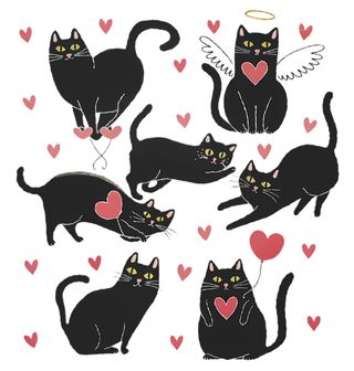 Obrázek 2 produktu Pánské tričko Romantická Kočka