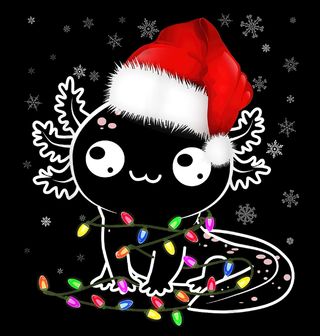 Obrázek 2 produktu Dětské tričko Vánoční Axolotl plný Světýlek