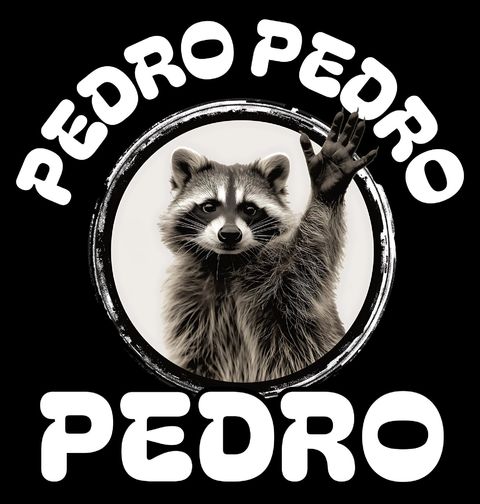 Obrázek produktu Dětské tričko Legendární Mýval Pedro Pedro Pedro