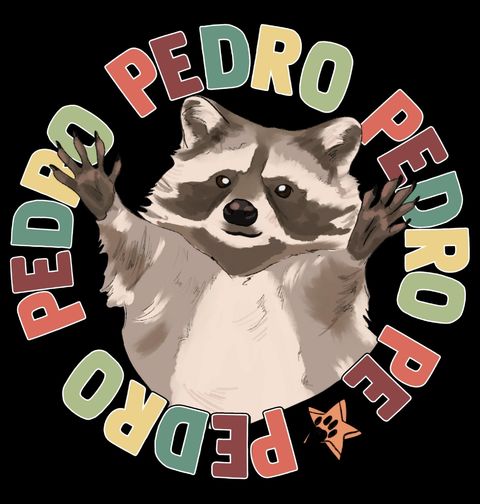 Obrázek produktu Dámské tričko Retro Mýval Pedro Pedro Pedro Pedro