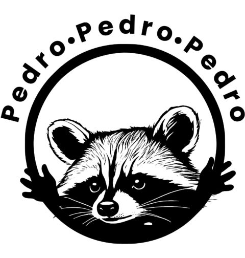 Obrázek produktu Dětské tričko Mýval Pedro Pedro Pedro