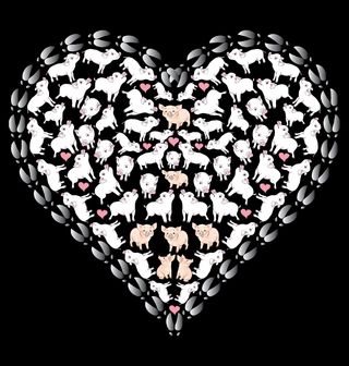 Obrázek 2 produktu Dámské tričko Srdce plné Prasátek