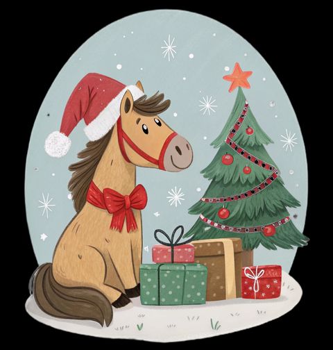 Obrázek produktu Dětské tričko Vánoční Kůň mezi Dárky