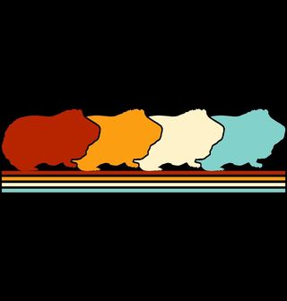 Obrázek 2 produktu Dětské tričko Retro Morče v Řadě