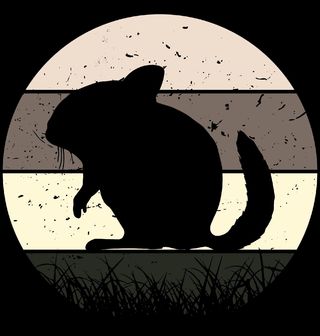 Obrázek 2 produktu Pánské tričko Retro Činčila