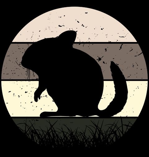 Obrázek produktu Pánské tričko Retro Činčila