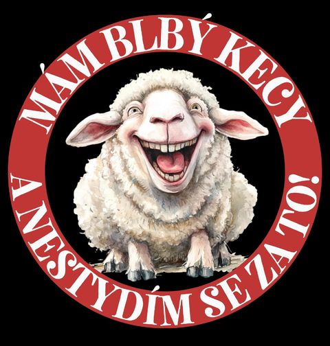 Obrázek produktu Pánské tričko Mám blbý kecy a nestydím se za to!