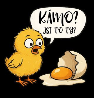 Obrázek 2 produktu Pánské tričko Vyděšené Kuře Kámo? Jsi to ty