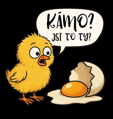 Obrázek produktu Pánské tričko Vyděšené Kuře Kámo? Jsi to ty